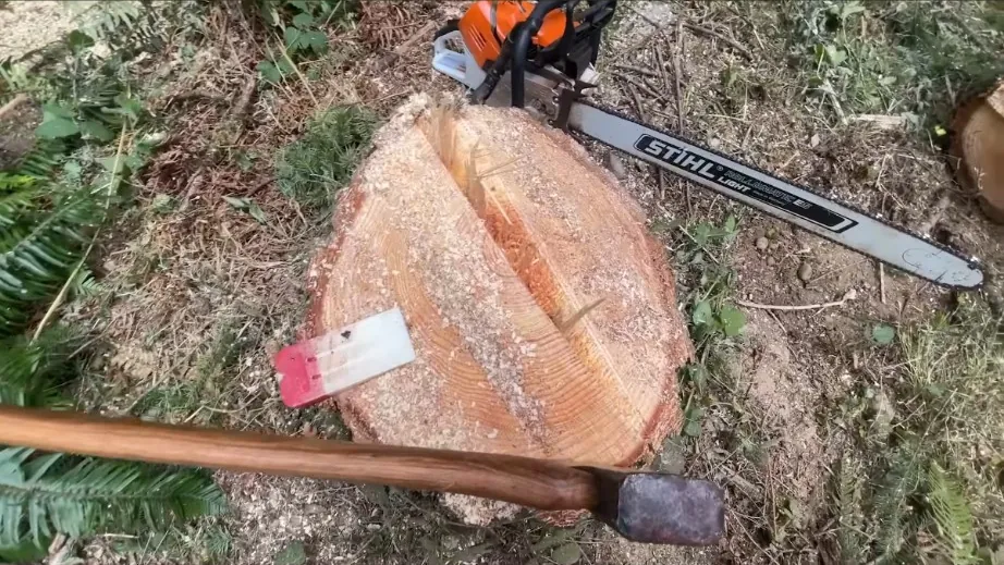Stump grinding after tree removal in Jonesboro